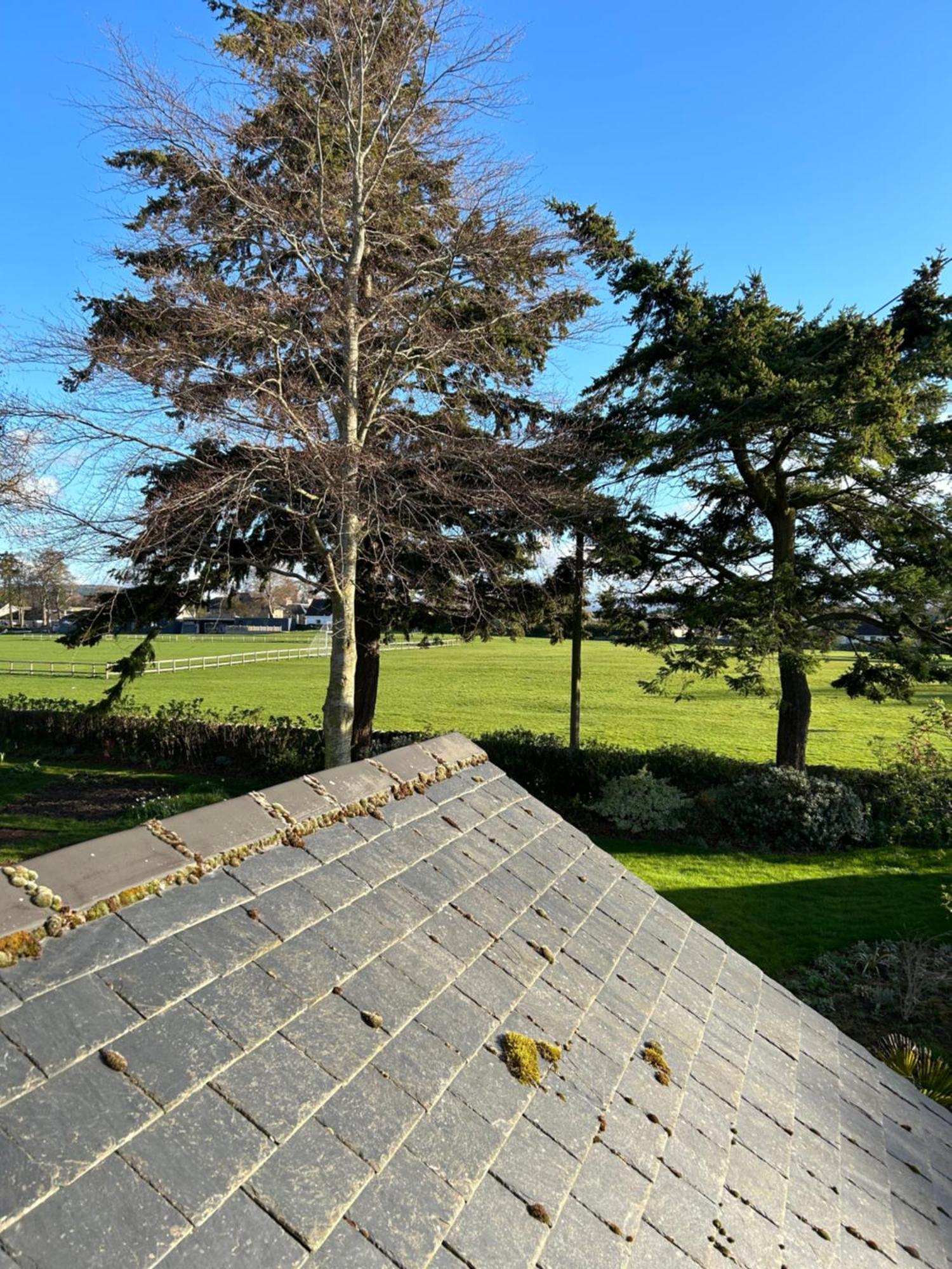 Glen Lyon Lodge Bed And Breakfast Nairn Exterior foto